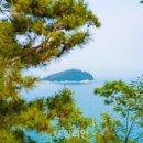 여행 가고 싶은 계절, 어항 공단 ‘어촌 숙박·체험’ 묶음 할인 지원 이미지