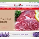 단풍미인 이미지