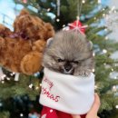 대홍약국 이미지