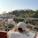 대전오월드 | [육아 기록] 33개월 아기랑 “대전 오월드” 방문 후기(아프리카 사파리 강추!)