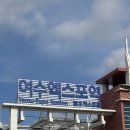 여수 선화하우스 펜션 | 여수 선화하우스 독채펜션 내돈내산 어른8명 아이4명