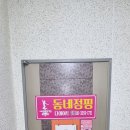 동네점핑 - 보령시 | 동네점핑
