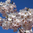 중동D.C마트 이미지