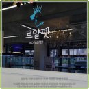 로얄펫 강아지분양 고양이분양 전주본점 | 전주강아지분양 로얄펫에서 건강한 아이 만났어요