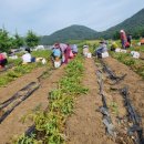 무정경로당 이미지