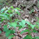 송강농장 이미지