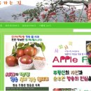 청송촌놈사과
