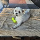 매향 오토 캠핑장 이미지