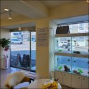 독라이프 이미지