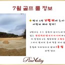 [7월] 밸리 2번 V벙커에 빠진 볼. 이미지