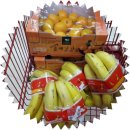 감골작은도서관 이미지