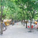 지리산 산내들 야영장 이미지