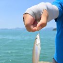 방파제 낚시 편의점 이미지