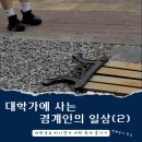 대학가에 살고 있는 경계인의 일상 (2) 대학생도 아니면서 대학 축제 즐기기 (2024 단국대 대동제 후기)