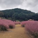 가산수피아 이미지