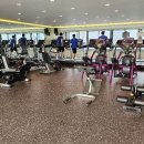 위아더 휘트니스 이미지