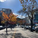 보영만두강남대