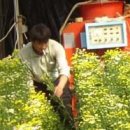 영민한의원 이미지