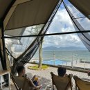 럭셔리애견사랑 이미지