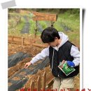 이안농장 이미지