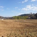 진천선수촌 진입로 이미지