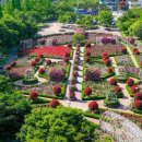 광장로 37 이미지