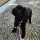 두루동물병원 이미지