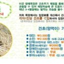 백배목장 네이버블로그