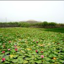 김석린 진사 생가 이미지