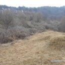 서구-01-12 이미지