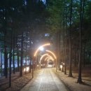 석남완충녹지공원 이미지