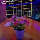 안동시 헬스장 내 몸에 라인을 더하다 Fitness 내용가격운영시간주차리뷰 알아보기