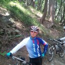 초연중학교 이미지