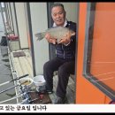 단비