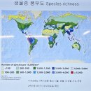금송목재 | &lt;2025 도시숲아카데미&gt; 공우석 소장님의 &#39;도시숲이 사라질 때&#39; 강의 후기