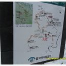 덕산면032 Daum카페