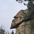킹콩기타