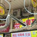 속초샌드 이미지