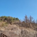 묵현로11-61 이미지