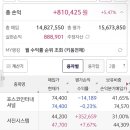 서진인터내셔널