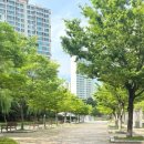 송동근린공원 바닥분수 옆 | 용인 새물근린공원 바닥분수 가보다!