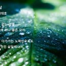 서평을 만나다 | 밑줄서평 21일 도전 후기, 좋은 습관이 나를 바꾸기 시작했다