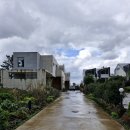 단산민박 | 제주도 일일사계에서의 힐링 여행 :: 풀빌라 독채 스테이 후기