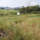 인준농장 이미지