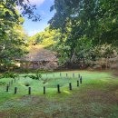 나무이야기 이미지