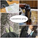KPC치킨 | [인턴일기5️⃣]_무슨일주일이먹기만하다끝나ㅣAI 자격증이라고 들어보셧나