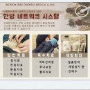 소들한의원 Daum카페