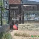 초양마루 | 사천 아라마루랜드 동물원 BIG3 통합권｜ 동물원과 관람차, 아이와 함께 가볼만한곳