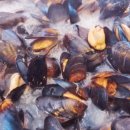 천하일품 칼국수 이미지