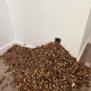 리치펫동물병원 이미지